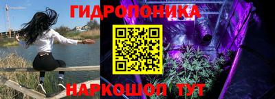 ГАЛЛЮЦИНОГЕННЫЕ ГРИБЫ Ирбит