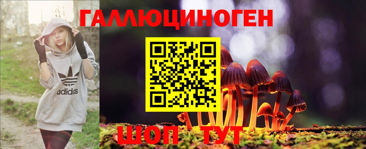 Псилоцибиновые грибы Cubensis Красноуфимск